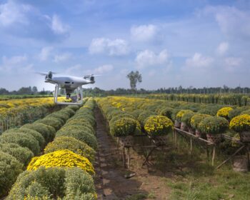 ESPECIALIZACION EN EL USO DE DRONES EN APLICACIONES PROFESIONALES